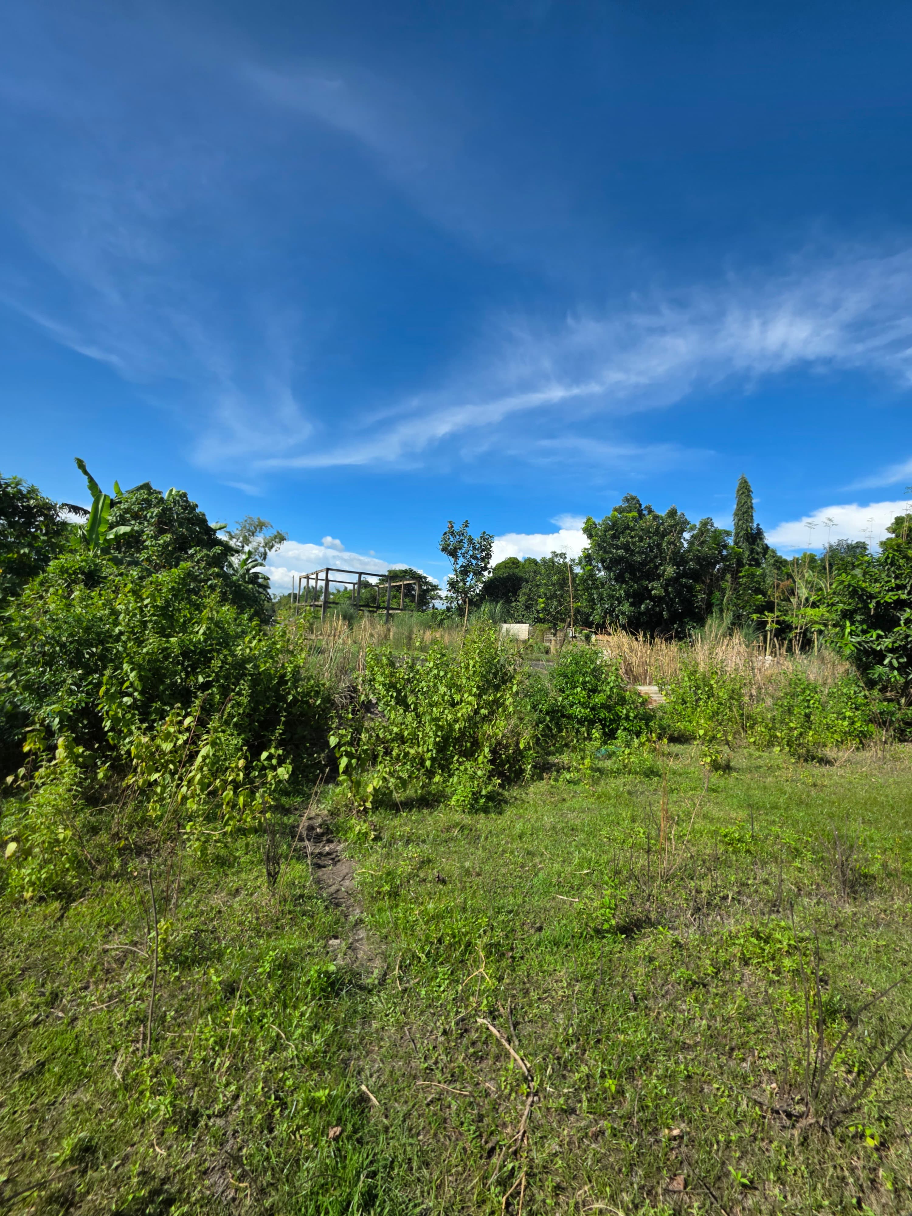 Vacant Lot For Sale — photo 2 of 3